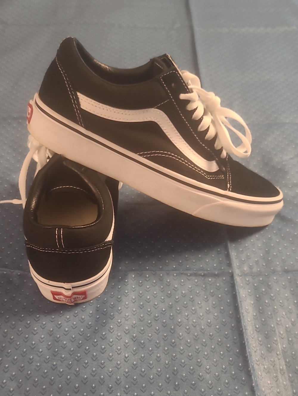 Vans Black and White Skate Shoe